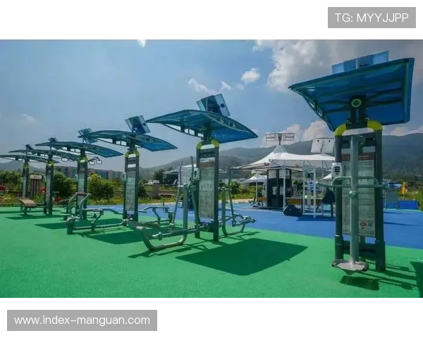 社区体育设施与公共交通衔接紧密，提升可达性与公平性