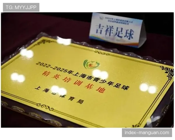 转播权新周期：德甲本土版权收入增长，将如何反哺青训与比赛质量？